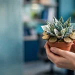 small-business-grants-uk-2026
